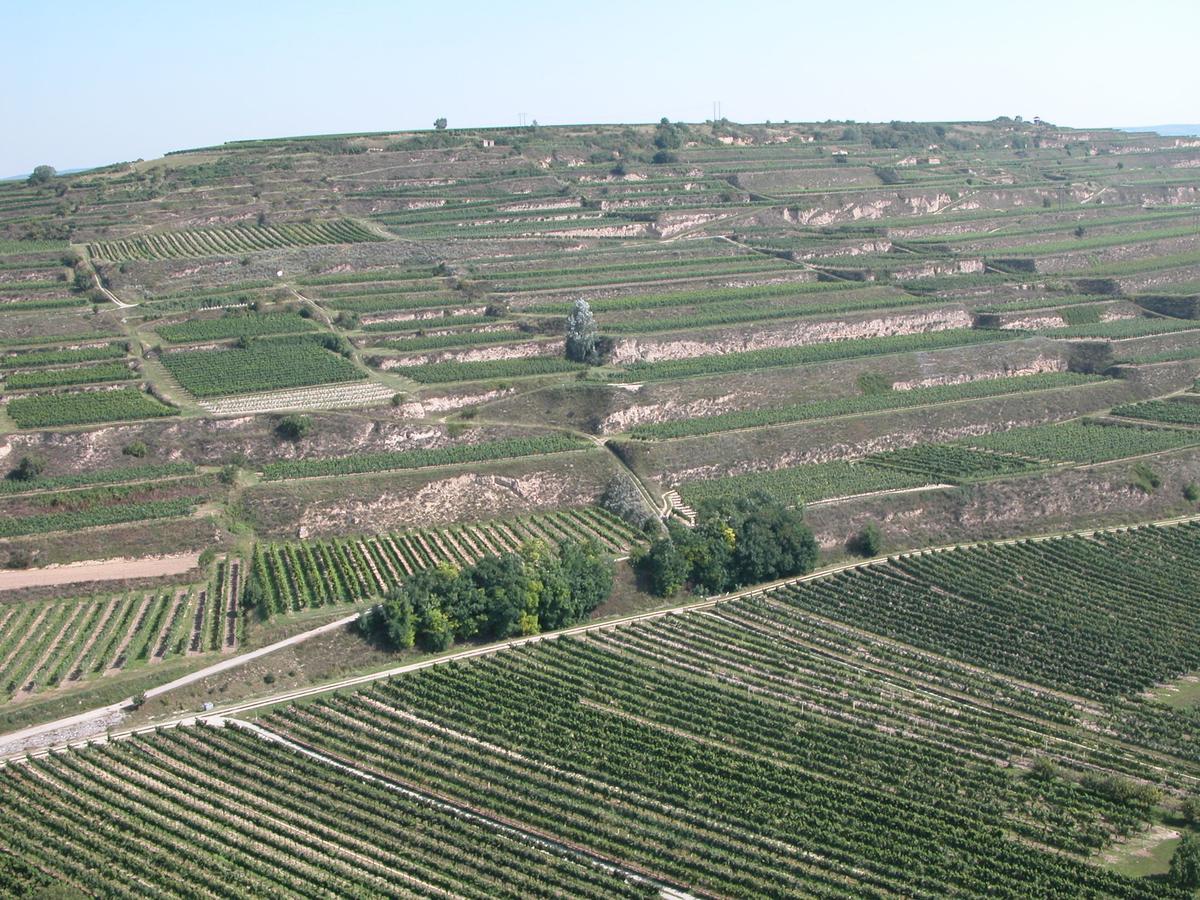 Weingut Und Gaestehaus Berger Gedersdorf Exterior photo