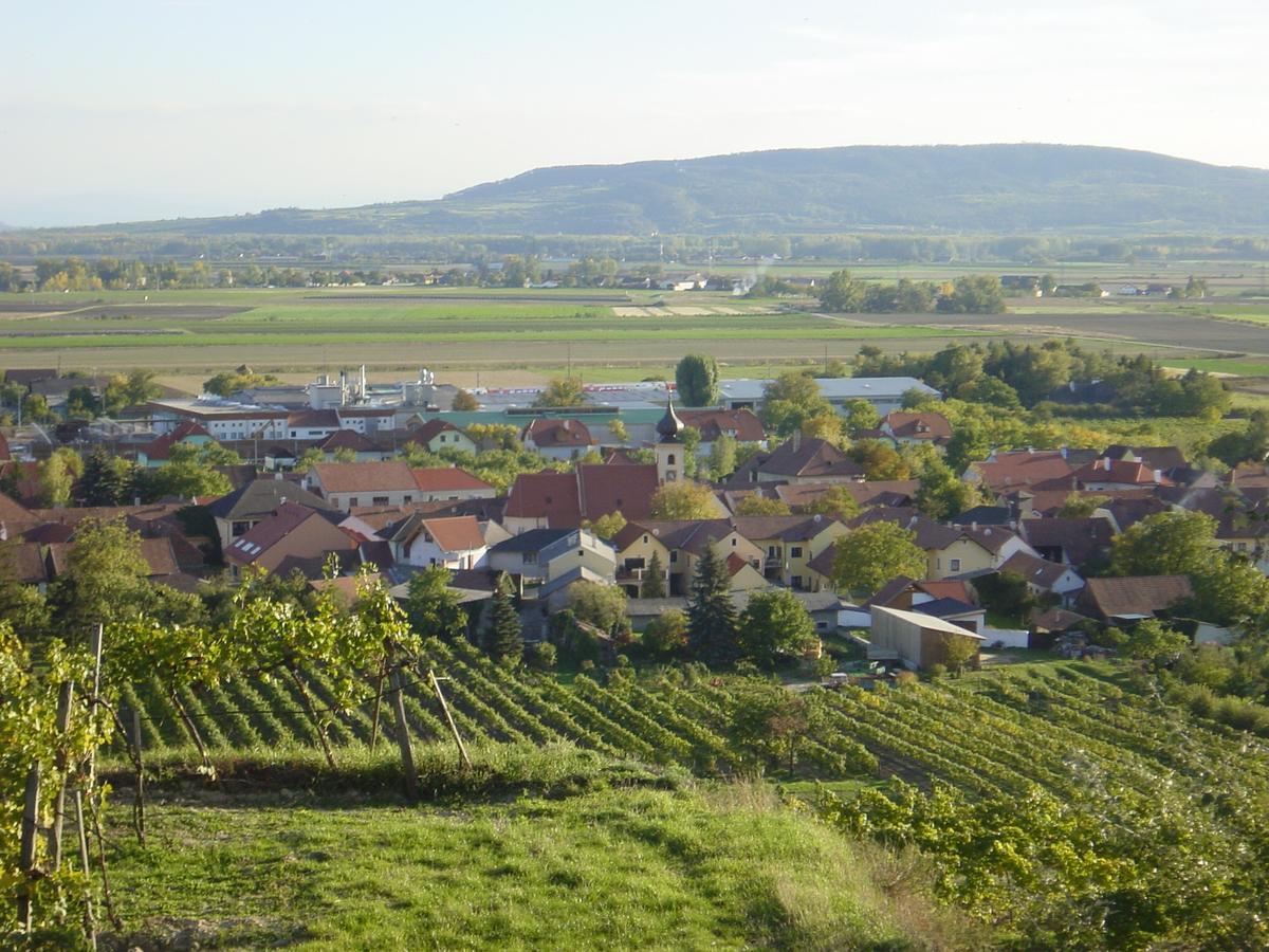 Weingut Und Gaestehaus Berger Gedersdorf Exterior photo